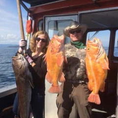 two rockfish with fishermen