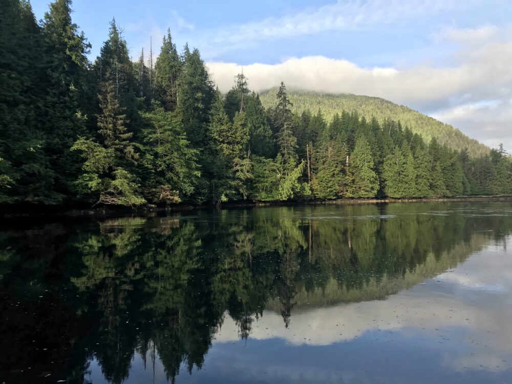 Skidegate Channel View