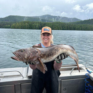 Lingcod