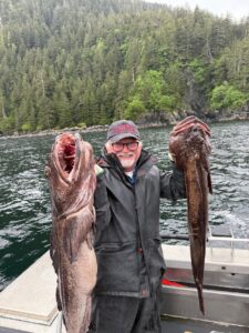 lingcod