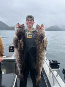 lingcod