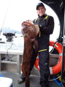 lingcod