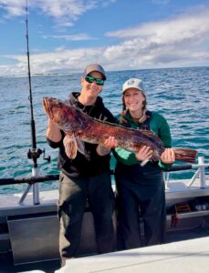 lingcod