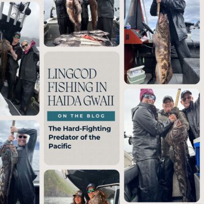 lingcod fishing