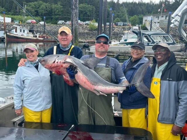 Pacific Halibut Fishing In Canada Is Unique - Queen Charlotte Safaris